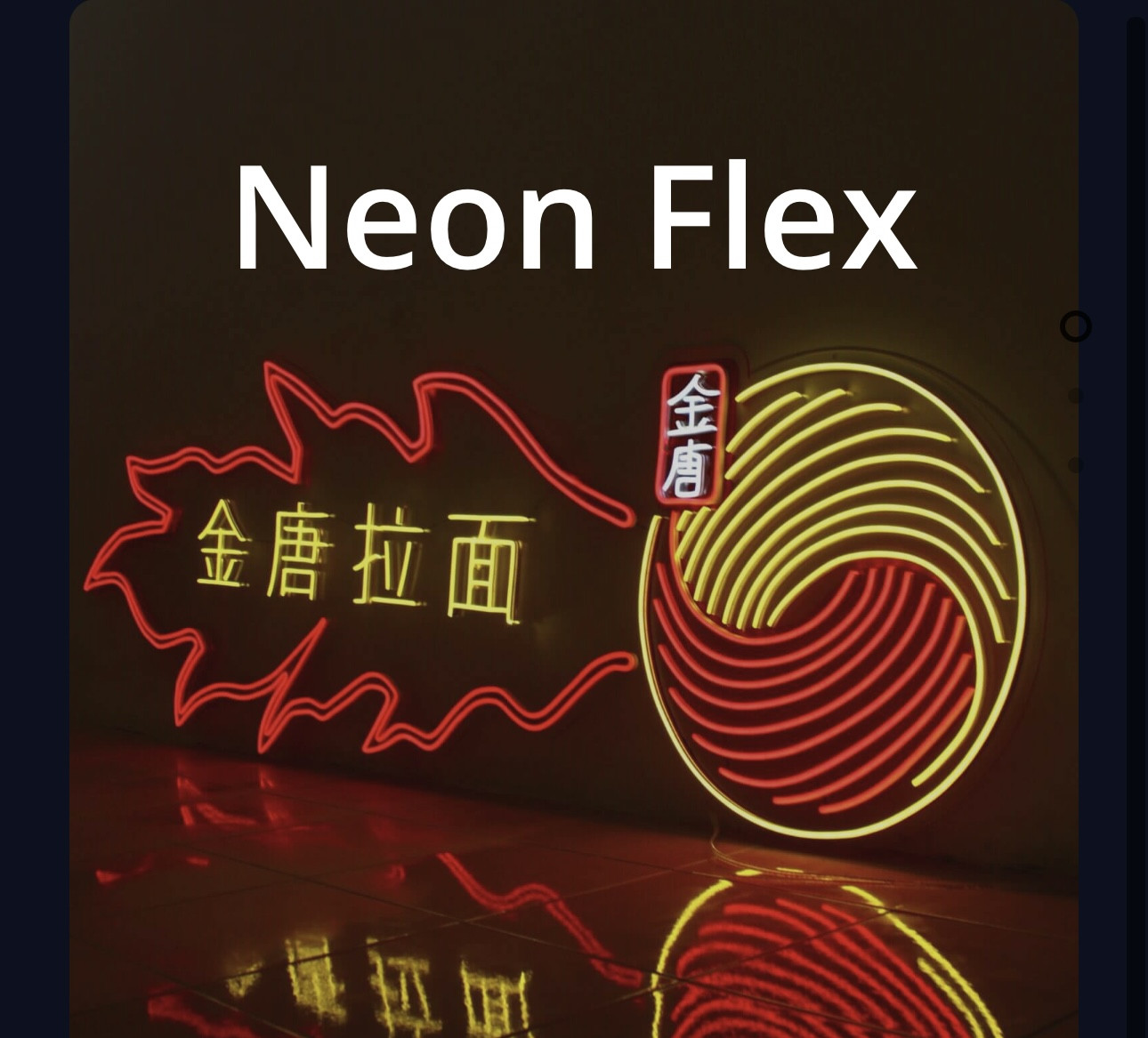 Neon Flex